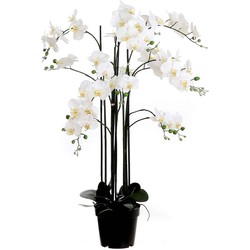 Mica Decorations orchidee in plastic pot creme maat in cm: 35x35x117