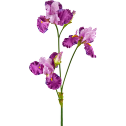 Hoyz Greenery - Kunstbloem Iris 102 cm paars