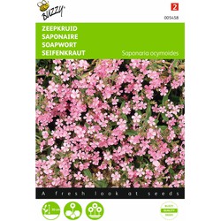 2 stuks - Saponaria ocymoides Zeepkruid Rose - Buzzy