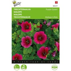 Zaden malope trechtermalva purple queen 1.5 gram