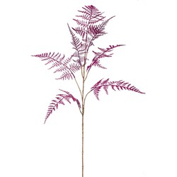 Asparagus spray purple 85 cm - Emerald