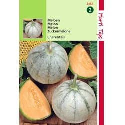 2 stuks - Meloenen Charentais - Hortitops