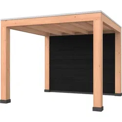 Douglas overkapping 300 x 300, met zwarte achterwand, Westwood Modern