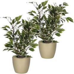 2x stuks groen/witte ficus kunstplanten 40 cm met plantenpot parelgoud D13.5 en H12.5 cm - Kunstplanten