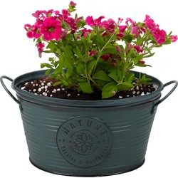 Sunnydays Teil/plantenpot - zink - rond - petrolblauw - D25 x H12 cm - IJzeren emmer / teil