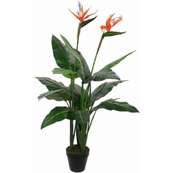 Mica Decorations strelitzia in pot maat in cm: 110 x 75