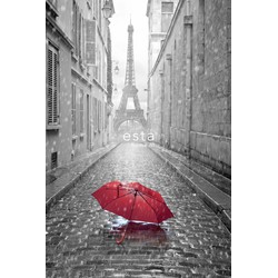 ESTAhome fotobehang Parijs city view grijs en rood