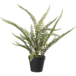 Louis Maes Kunstplant - Varen Nephrolepis - Groen - 50 cm - Kunstplanten