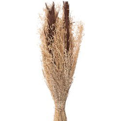 Clayre & Eef Droogbloemen Bruin Droogbloemen