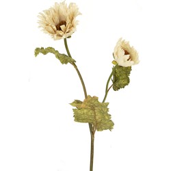 Greenmoods Kunstbloem Poppy Queen - Nep plant - 1 Stuk - 75cm - Crème-