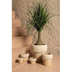 PTMD Bloempot Emilee - 40x40x41 cm - Cement - Beige