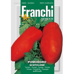 Tomaat, Pomodoro Scatolone 106/116 - Franchi