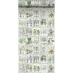 ESTAhome XXL behang bladzijden botanisch bloemen en planten boek licht warm grijs en groen - 50 x 900 cm - 158826