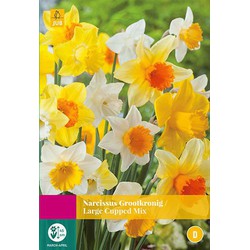 3 stuks - Narcissus Grootkronig mix 12 bollen