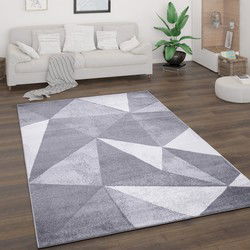 Laagpolig Vloerkleed Bareta - Modern Geo - Grijs - 160x220 cm