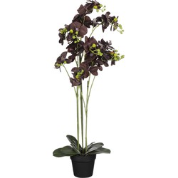 Mica Decorations Orchidee bloem kunstplant - zwart - H90 x B30 cm - Kunstplanten