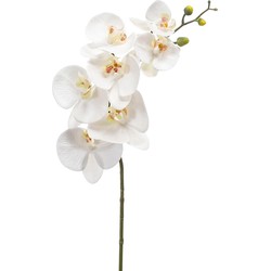 Emerald Kunstbloem Orchidee - 83 cm - wit - losse tak - kunst zijdebloem - Phalaenopsis - Kunstbloemen