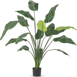 Kunstplant Strelitzia Deluxe 180 cm