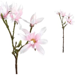 PTMD Magnolia Flower Japanse Magnolia Kunsttak - 23x23x63 cm - Roze