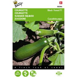 5 stuks - Courgette Klimmend Black Forest F1 Tuinplus