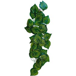 Repto Aquadistri plant green leaves 230 cm