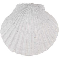 Clayre & Eef Deurknop Schelp Wit Polyresin