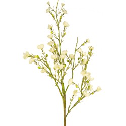 Greenmoods Kunstbloem Wild Waxflower - Chamelaucium uncinatum - Nep plant - 1 Stuk - 85cm - Crème -