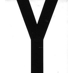 Plakletter Nobel Sticker zwarte letter Y rotterdam