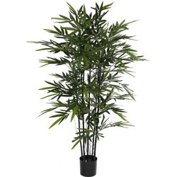 Mica Decorations bamboe h140d95 groen met zwarte stammen