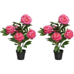 2x Groene/roze pioenroos rozenstruik kunstplanten 57 cm met zwarte pot - Kunstplanten
