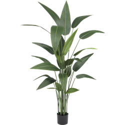 Hoyz Greenery - Kunstplant Heliconia 150 cm