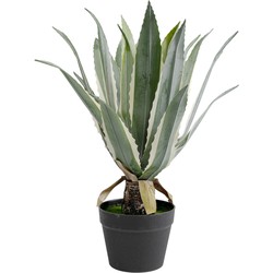 Kunstplant Agave 50cm