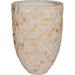 PTMD Daven Cream Poly Shell Paper Pot Oval High L