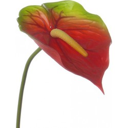 5x Kunstplanten anthurium rood met groen 78 cm - Kunstbloemen