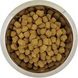 YOURDOG KONINGSPOEDEL VOLWASSEN 12 KG