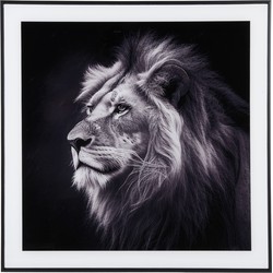 Photo Art Lion