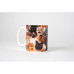 Gift Republic Crazy Cat Lady Mok