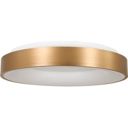 Steinhauer plafonniere Ringlede - goud - metaal - 38 cm - ingebouwde LED-module - 2562GO