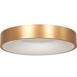 Steinhauer plafonniere Ringlede - goud -  - 2563GO