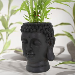 Plant Pot Boeddha Hoofd 19x20x34 cm Antraciet Polyresin