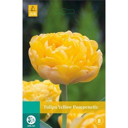 5 stuks - Tulipa Yellow Pompenette 5 bollen