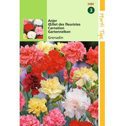 2 stuks - 