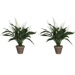 2x stuks spathiphyllum lepelplant kunstplanten wit in keramieken pot H50 x D40 cm - Kunstplanten