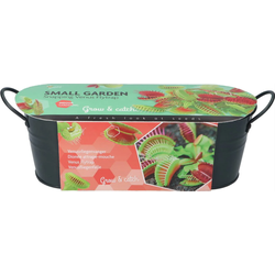 Grow gifts kweekset small garden venus fly trap