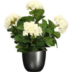 Hortensia kunstplant/kunstbloemen 45 cm - wit - in pot titanium grijs glans - Kunstplanten