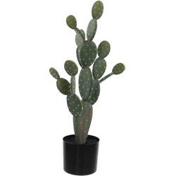 Mica Decorations cactus in plastic pot maat in cm: 79 x 35