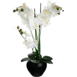 Atmosphera Orchidee bloemen kunstplant in zwarte bloempot - witte bloemen - H53 cm - Kunstplanten