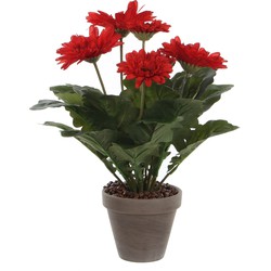 Mica Decorations Gerbera Kunstplant in Bloempot Stan - H35 x Ø30 cm - Rood