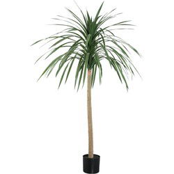 PTMD Kunstplant Tree - 90x90x160 cm - Polyester - Zwart