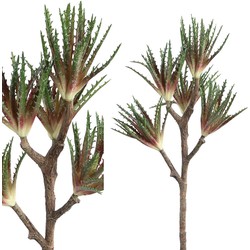 PTMD Succulent Aloe Kunstplant - 21 x 20 x 37 cm - Groen/roze